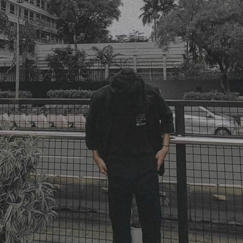 دانلود آهنگ امیر سیاوشی غریب - آلیس موزیک